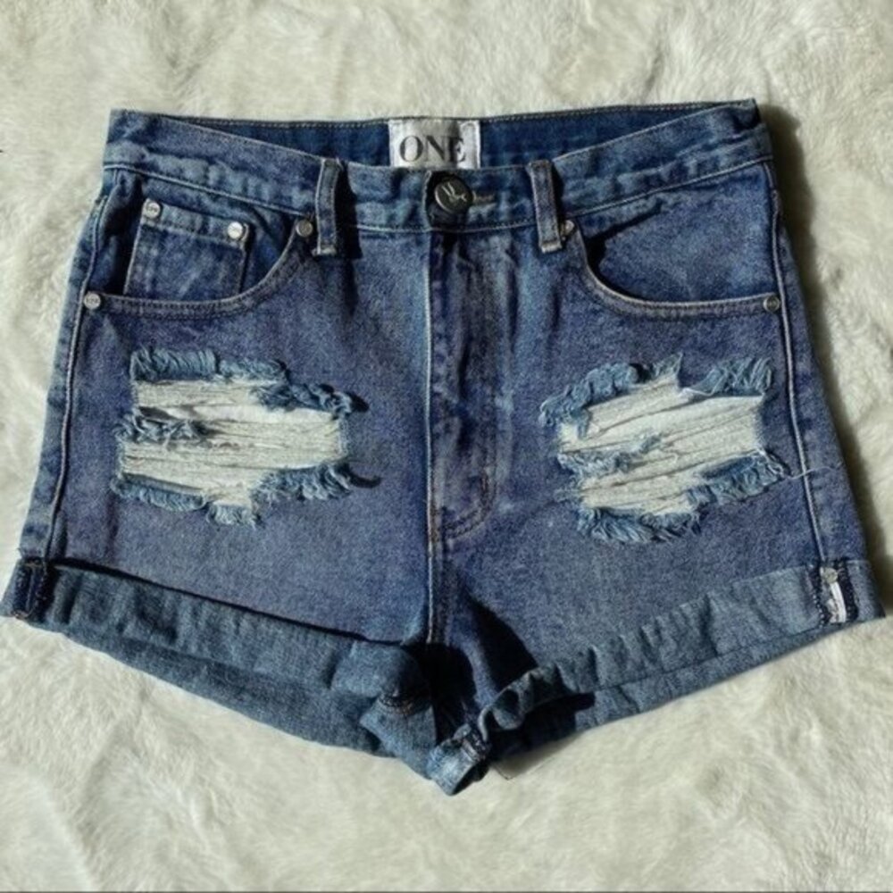 One Teaspoon Free People Distress High Rise Shorts